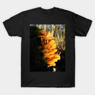 Mushroom World T-Shirt